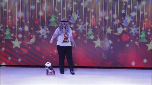 Новогодняя Елка Йорк-Шоу 2018 смотреть онлайн