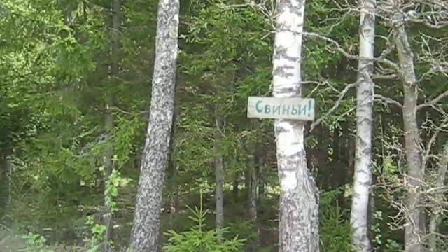 Помойка около леса смотреть онлайн