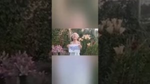 День Семьи, любви и верности