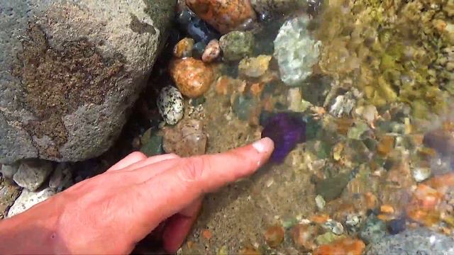 Как выглядит синий сапфир под водой смотреть онлайн