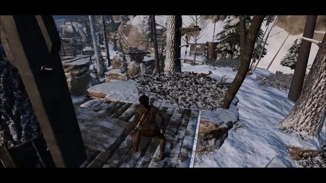Rise of The Tomb Raider (GT 750m 4GB) смотреть онлайн