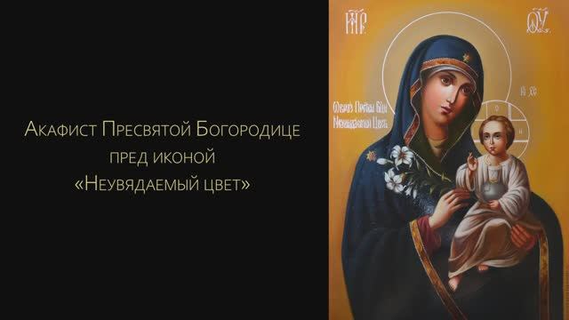 Акафист Пресвятой Богородице «Неувядаемый Цвет» (с текстом)