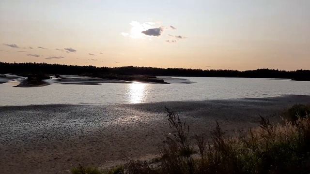 В рыбхозе "Раково" спустили карповый пруд перед зимой. смотреть онлайн