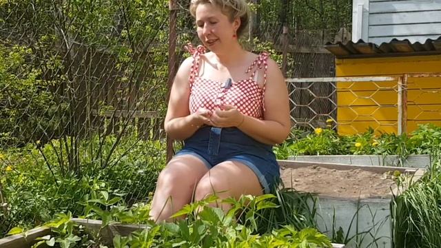 теплые грядки/высокие грядки/спустя 10 лет/COUNTRY VLOG смотреть онлайн