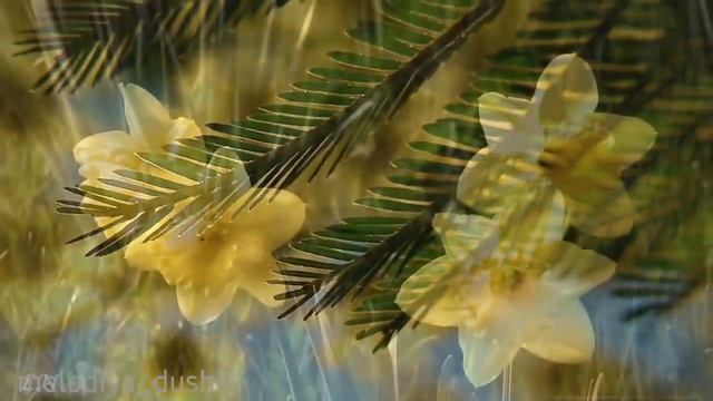 "Белее снега..." Ирина Астахова смотреть онлайн