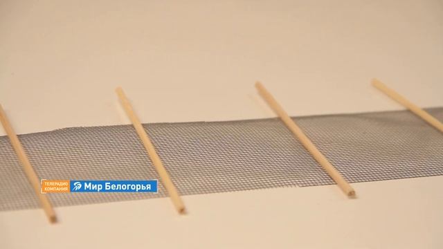 «Объясняем на пальцах». Как сделать компостную яму (20.09.2018) смотреть онлайн