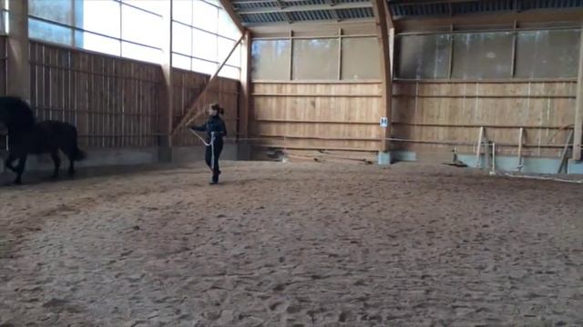 Tala hästarnas språk смотреть онлайн