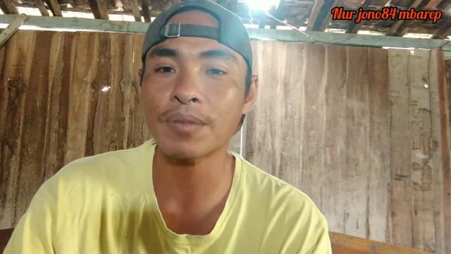 kenali dan atasi penyakit burung perkutut | dengan mudah смотреть онлайн