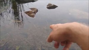 Солнечный окунь на попла-поппер -  универсальная снасть!