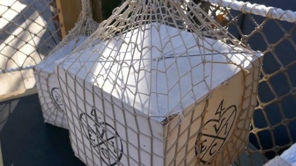 Boston Tea Party Ships and Museum | Travel for Kids