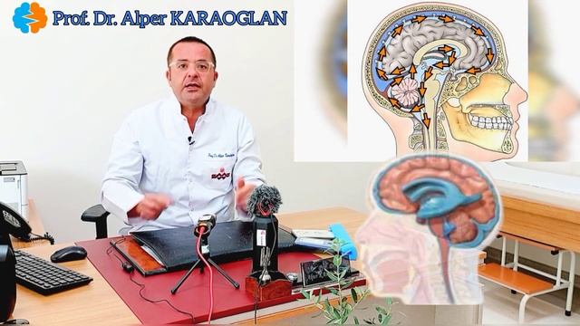 Что такое гидроцефалия? Почему это происходит? | Проф. Др. Альпер КАРАОГЛАН смотреть онлайн