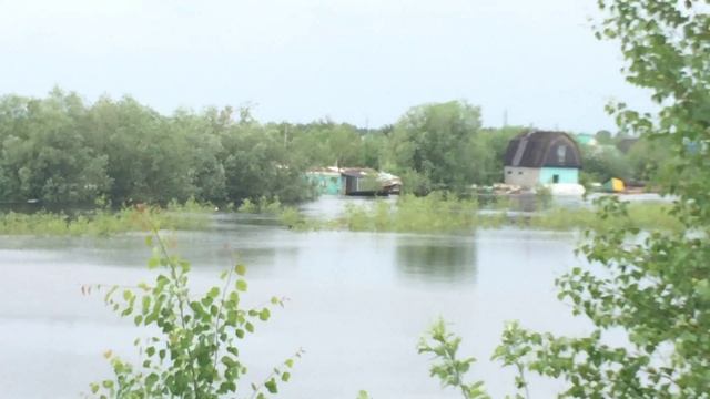 Вода. потоп дач смотреть онлайн