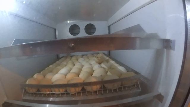 Индюшата переехали в новый вольер. Готовим место под цыплят смотреть онлайн
