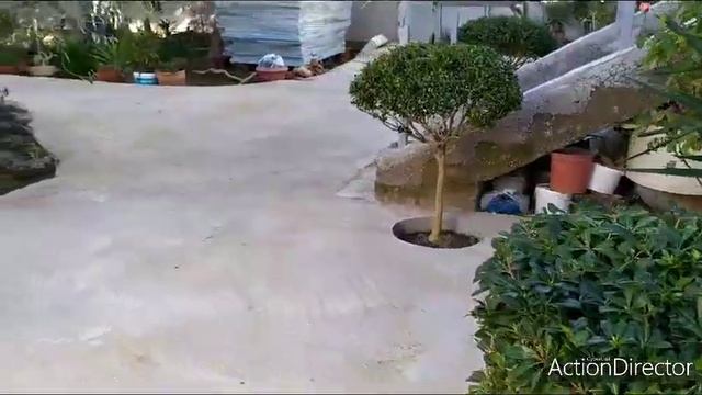 Олины Истории ?️ Влог#74?Снег❄️☀️Солнце! Замёрзли?Брахихитоны? смотреть онлайн