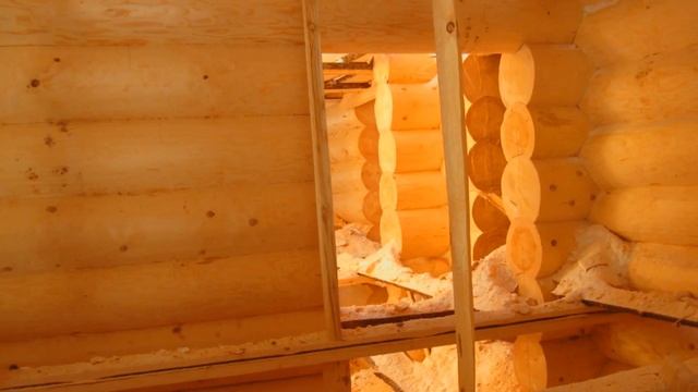 Бревенчатый дом из архангельского северного леса в чашу. Рубка и сборка. Проект сруб крыша. Видео. смотреть онлайн