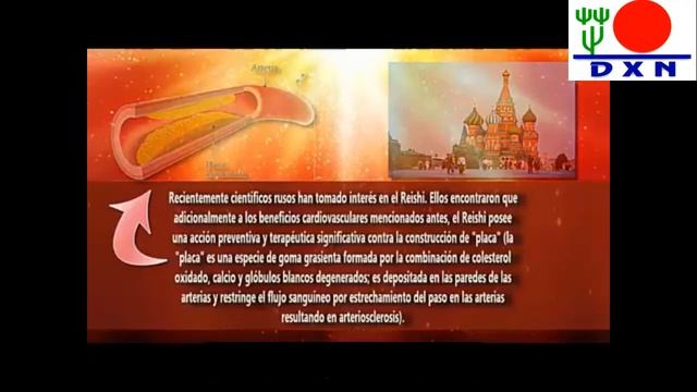 Documental sobre el Ganoderma Lucidum смотреть онлайн