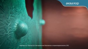 Аквалор Актив. Не давай насморку перспектив!