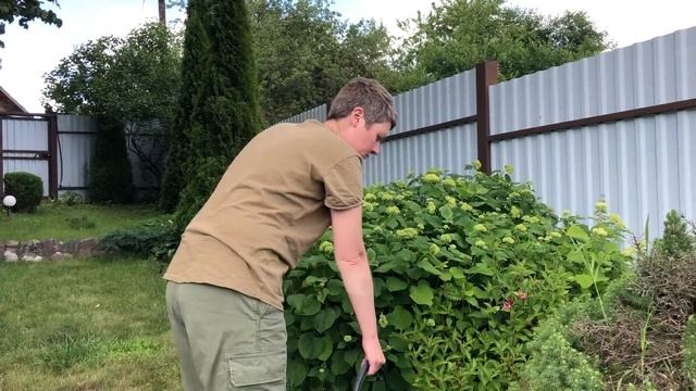Дикий пляж | Пляж своими руками | Из Москвы в деревню | Дачная рутина смотреть онлайн