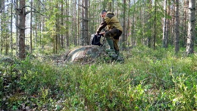 Одиночный поход в лес,лето совсем скоро, смотреть онлайн