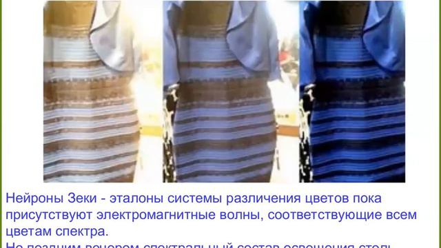 Физиология сенсорных систем смотреть онлайн