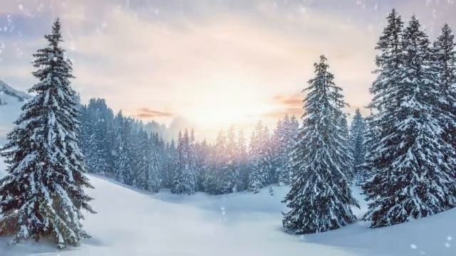 Winter Forest Relax Music |by RELAX 24x24| смотреть онлайн