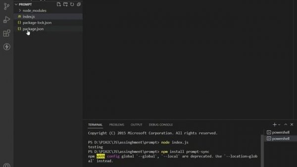 How to take User Input using Prompt Sync in JavaScript Node JS
