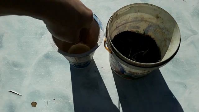 Как хранить земляных червей в гараже или сарае? смотреть онлайн