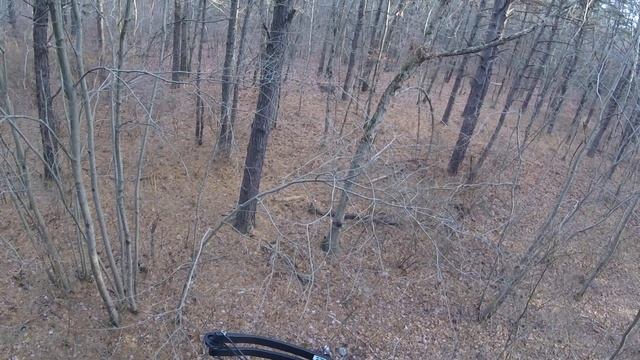 Deer Hunting - Buck Comes in Close смотреть онлайн