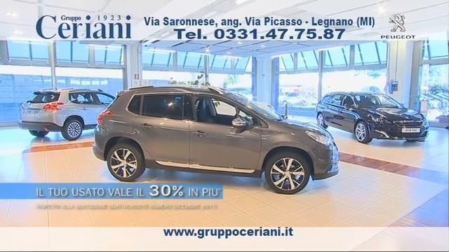 GRUPPO CERIANI gennaio 2016 смотреть онлайн
