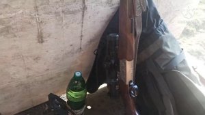 Охота на медведя весной на приваде.