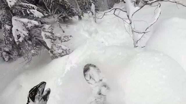 Фрирайд в Домбае, 2022 смотреть онлайн