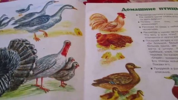 Развитие речи детей.The development of children's speech