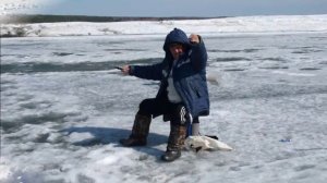 Зимняя рыбалка на Енисее.