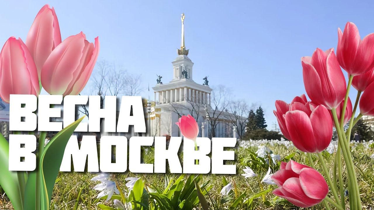 Весна в Москве: где погулять с любимыми и почему именно там?