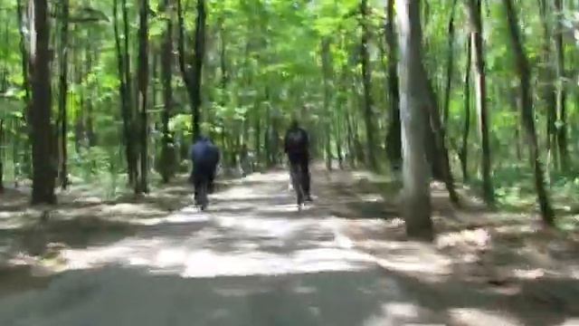 Велосипедная прогулка смотреть онлайн