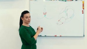 Массаж промежности во время беременности.Подготовка промежности к родам.