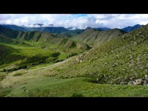 Поход в горы , встреча с Маралом ,лето .