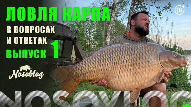 Карпфишинг в вопросах и ответах, выпуск 1, Колесников А. смотреть онлайн