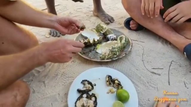 Африканские впечатления из турпоездки в Танзанию. смотреть онлайн