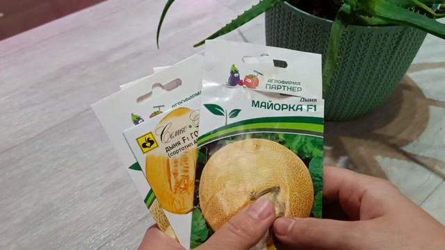 Подготовка теплицы к сезону, посев ? и ?, огурцы для раннего урожая! смотреть онлайн