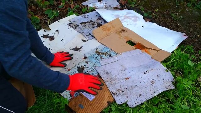 How To Use Cover Crops In A No Dig Garden смотреть онлайн