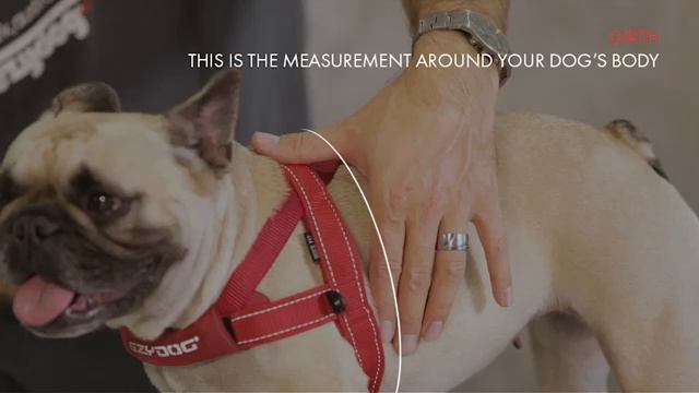 Секреты Творческого Прогресса