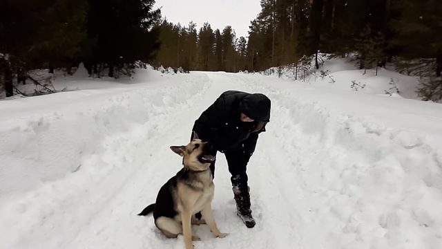 Я и собака на природе смотреть онлайн
