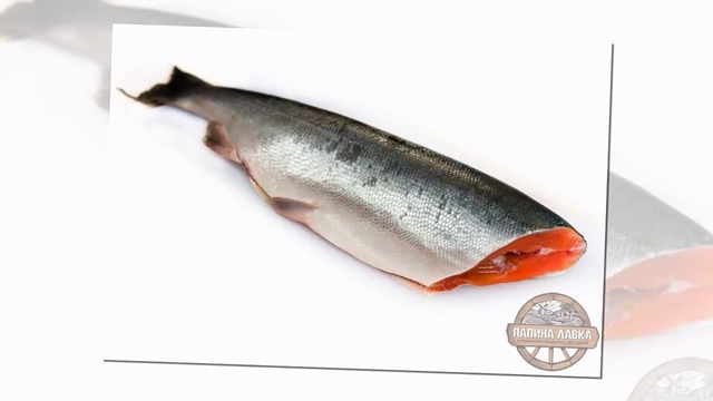 Свежая рыба Купить свежую рыбу в Воронеже смотреть онлайн