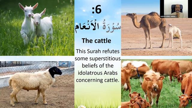 Topics Of The Quran | Para-6 Summary | Juz-6 Summary