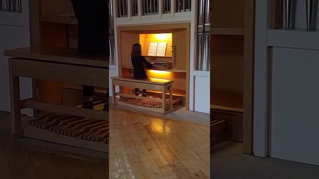 Де Костер "Пастораль". Брайковская Василиса смотреть онлайн