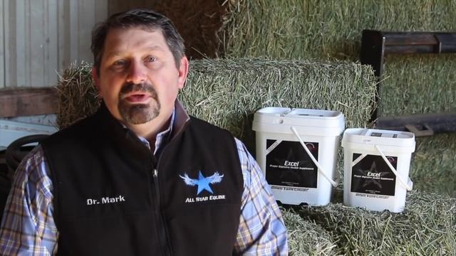 Excel Digestive Health Supplement for Horses by Mark DePaolo, DVM смотреть онлайн