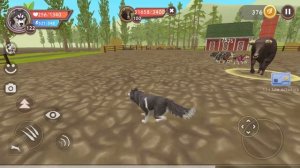 ИЩЕМ МИСТИЧЕСКИЕ ВЕЩИ в WILDCRAFT Симулятор Волка