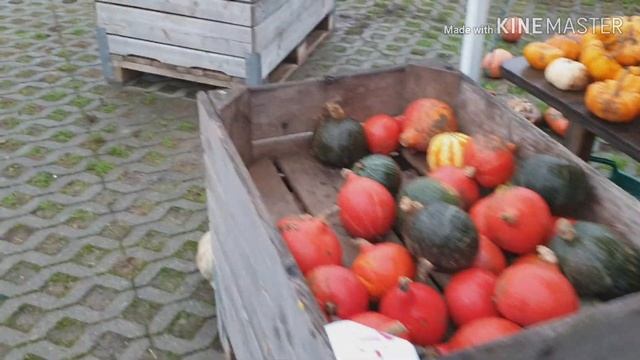 Выходные с семьёй ???Покупка, полезных продуктов ?? смотреть онлайн