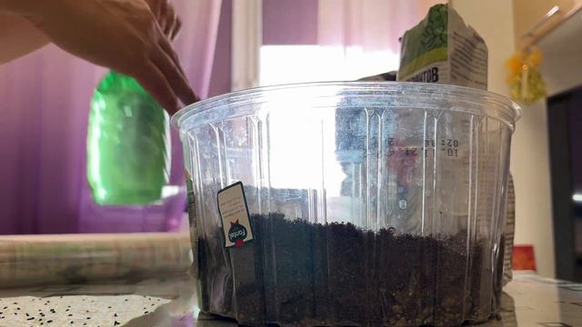 Ленивый дачный блогер